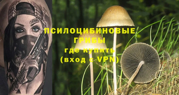 каннабис Вяземский