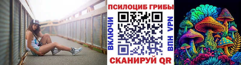 закладка  Елец  Псилоцибиновые грибы мухоморы 