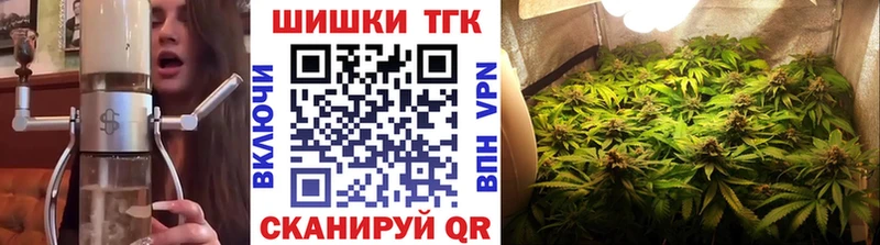 как найти наркотики  Елец  Каннабис сатива 