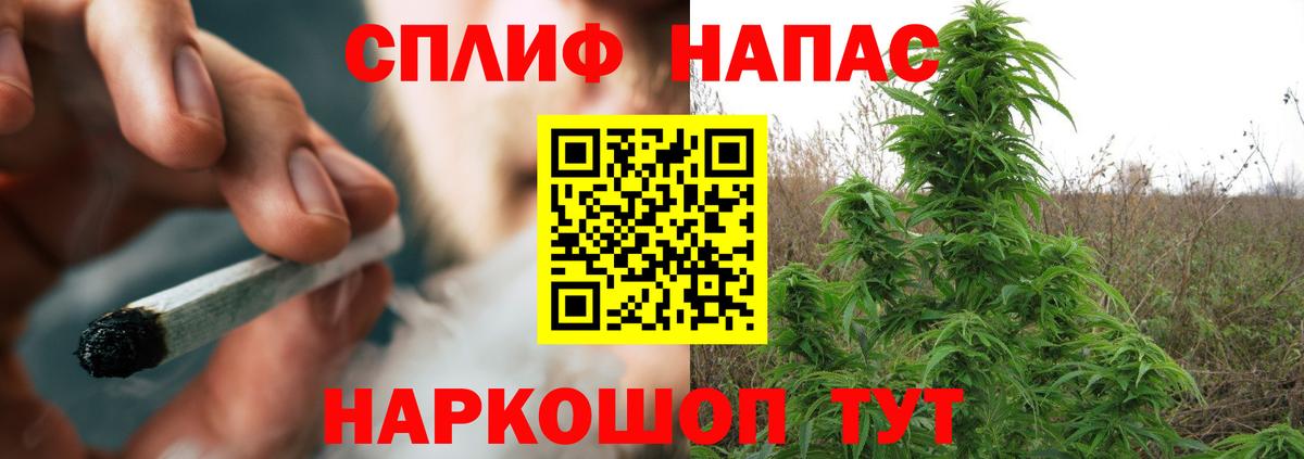 Марихуана гибрид  Бошки марихуана планчик  Бошки марихуана конопля  Марихуана гибрид  Елец 